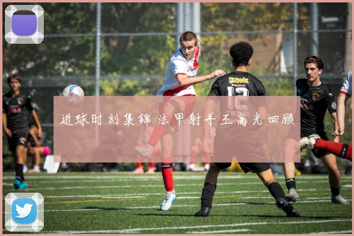 进球时刻集锦 法甲射手王高光回顾