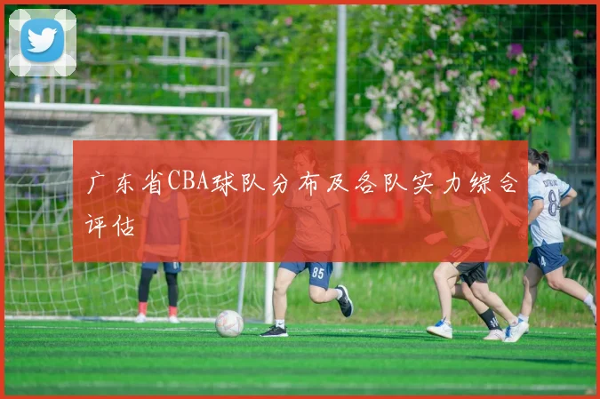 广东省CBA球队分布及各队实力综合评估