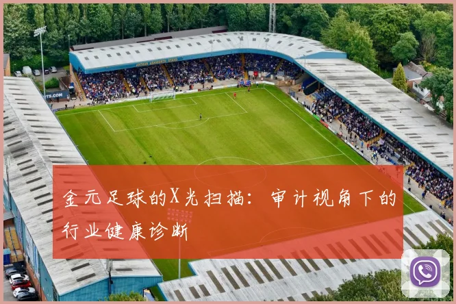 金元足球的X光扫描：审计视角下的行业健康诊断